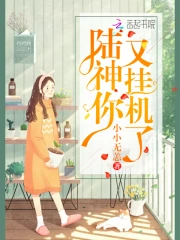 陆神你又挂机了